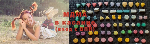 spice Богородицк